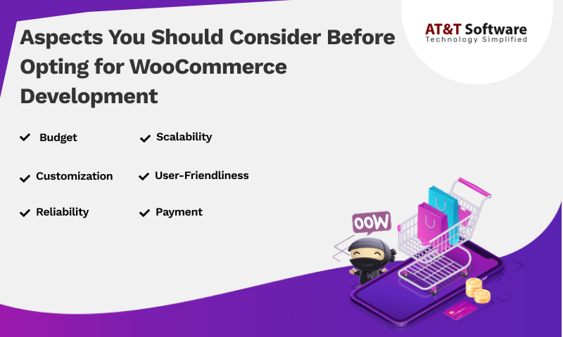 Aspects You Should Consider Before Opting for WooCommerce Development Aspects You Should Consider Before Opting for WooCommerce Development