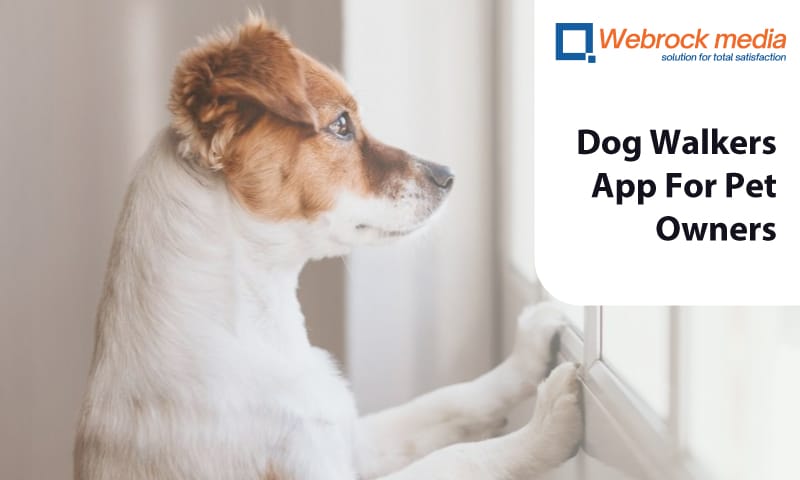Dog Walkers App For Pet Owners
