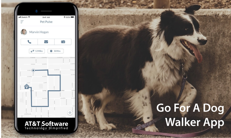Why Go For A Dog Walker App Why Go For A Dog Walker App