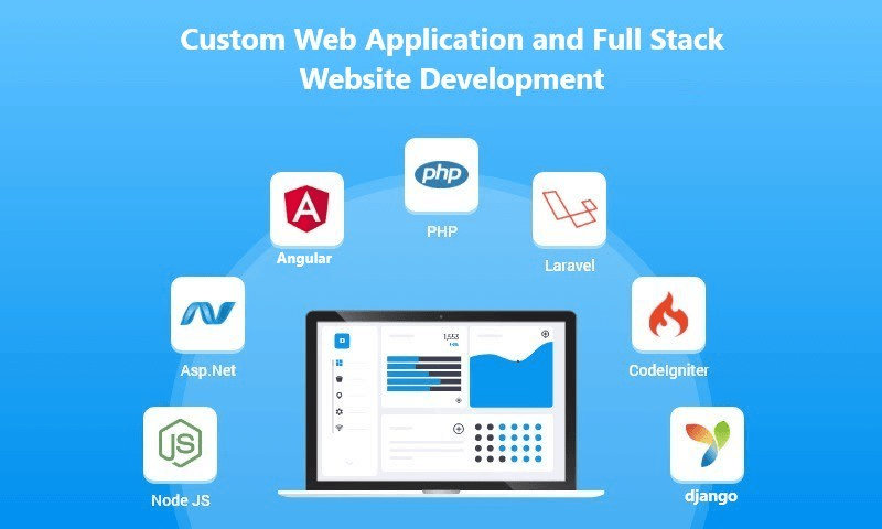 Custom Web Development